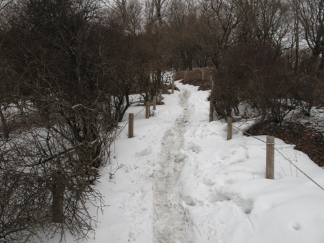 20160204hike (148)
